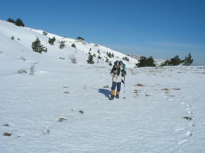 Прикрепленное изображение: P2241922-1.JPG